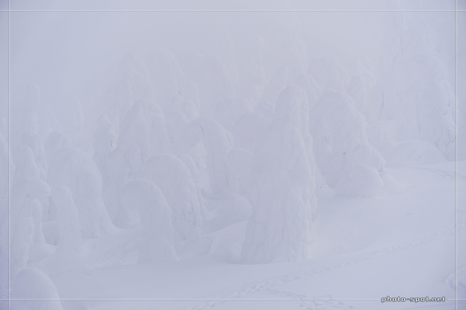 山形蔵王の樹氷。ホワイトアウトですぐ近くの樹氷も見えにくい。