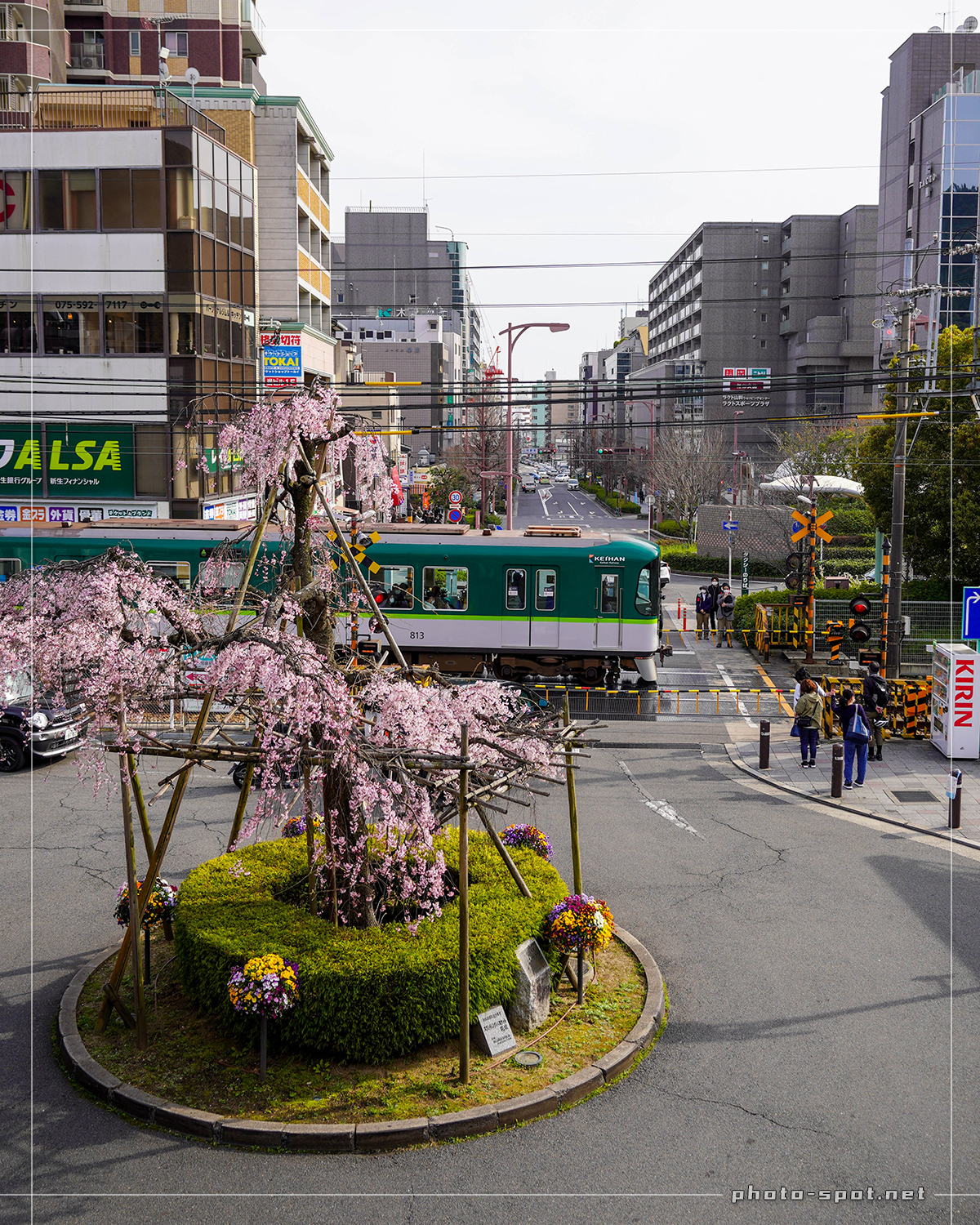 山科駅前ロータリーの枝垂れ桜と京阪電車