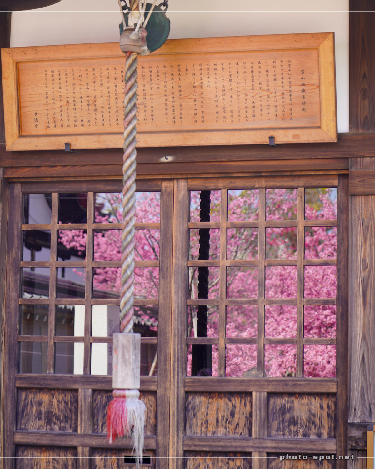 長徳寺 地蔵堂のガラスに映り込むおかめ桜