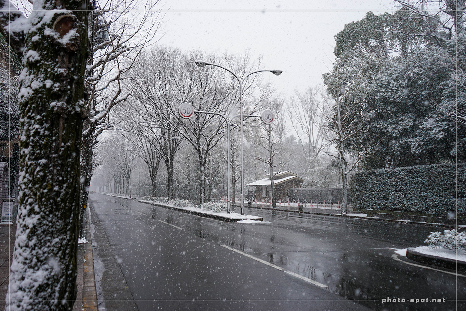 京都北山通の雪景色