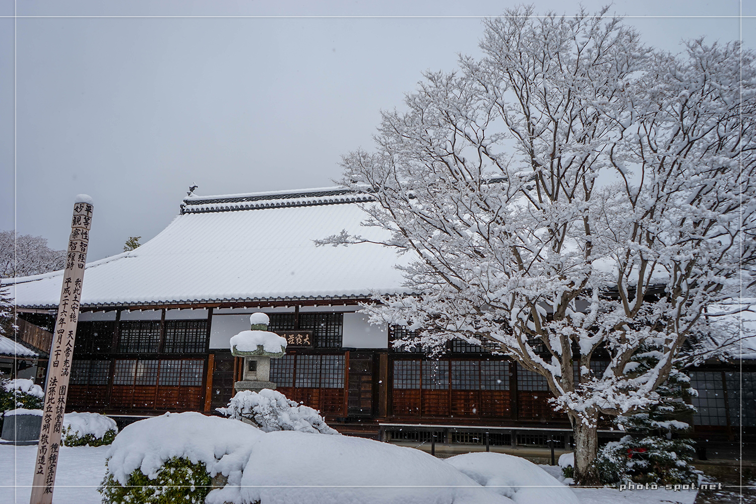源光庵の雪景色 真っ白な葉っぱで色付いた光景
