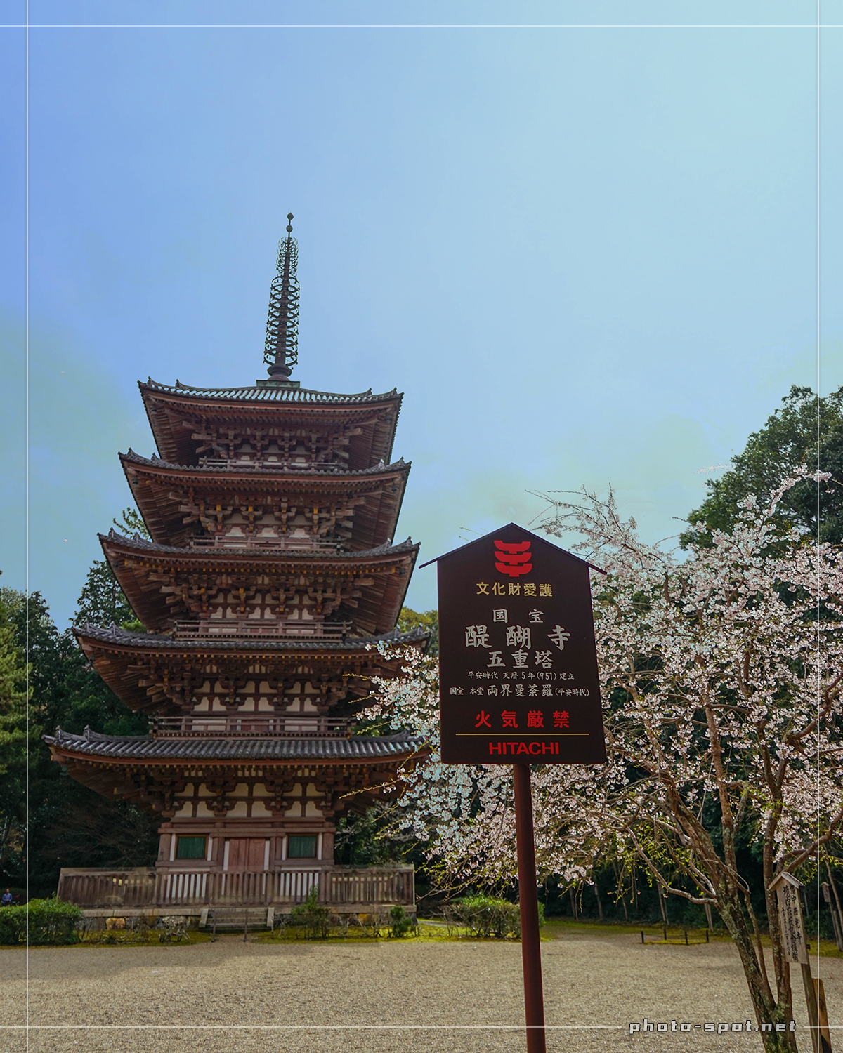 醍醐寺 伽藍 五重塔と桜