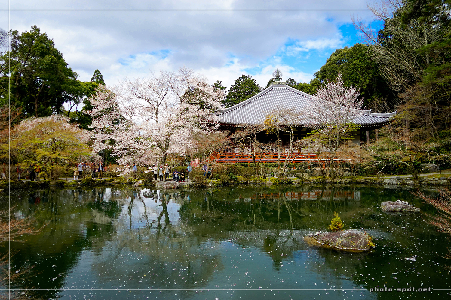 醍醐寺 伽藍 観音堂と弁天池と桜