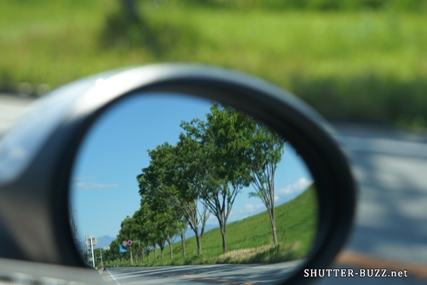 ドアミラー越しに新緑