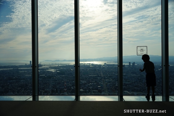 地上300mの高さを体感する子供