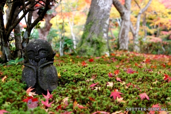 圓光寺のニコニコ地蔵