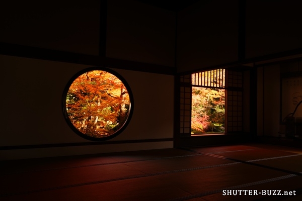 源光庵 悟りの窓と迷いの窓と畳紅葉
