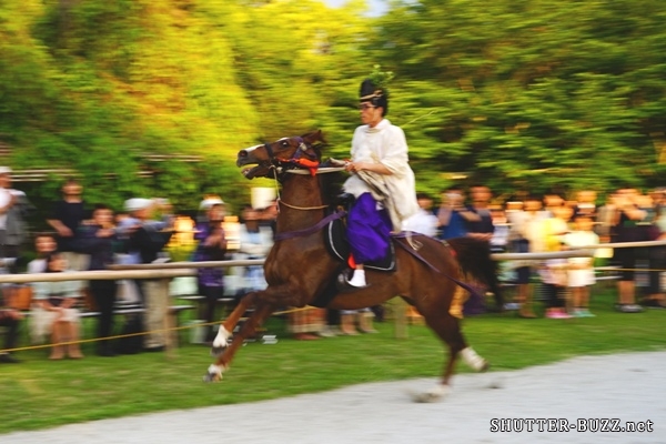 暴れ馬を流し撮り
