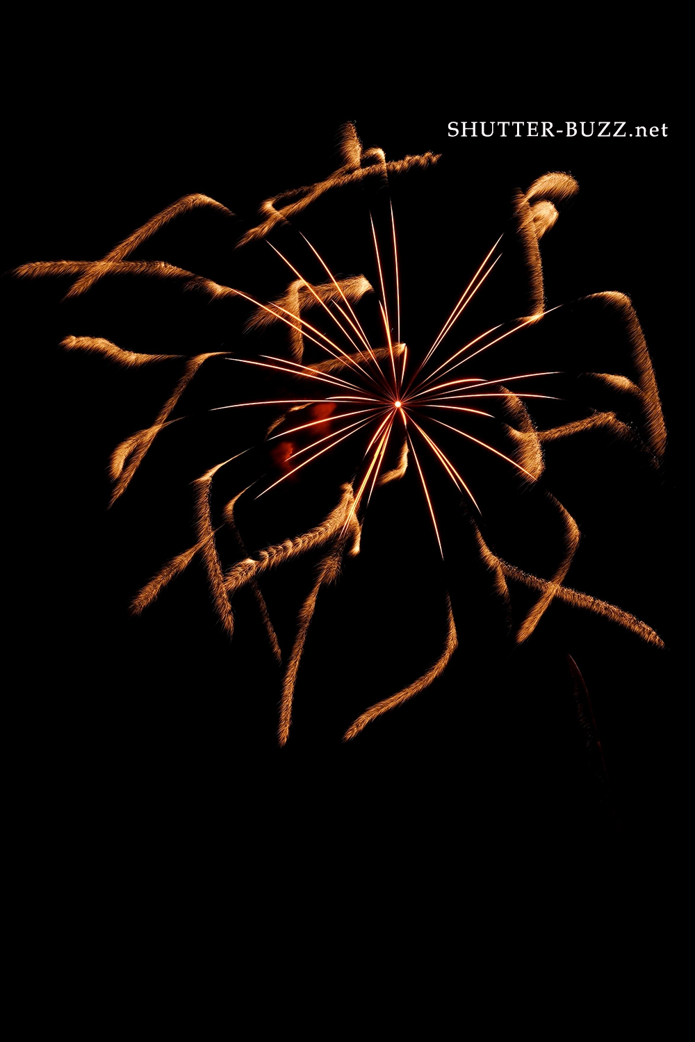 夜空を縦横無尽に飛び回る“蜂”のような打ち上げ花火